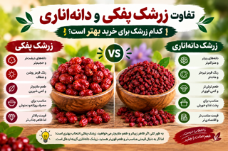 تفاوت زرشک پفکی و دانه‌اناری؛ کدام زرشک برای خرید بهتر است؟