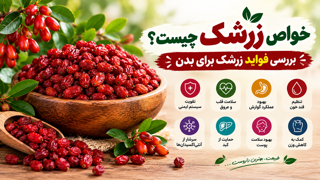 خواص زرشک چیست؟ بررسی فواید زرشک برای بدن